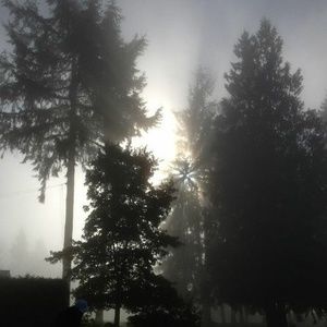 Meet your Posher, Jacoba